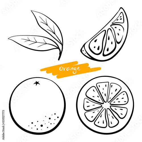 Orange fruit, whole, half, slice and leaves. Black line sketch collection of citrus fruits isolated on white background. Doodle hand drawn vegetables. Vector illustration