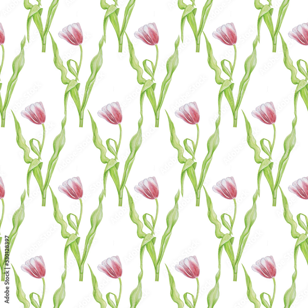 pattern watercolor tulip isolate pattern watercolor tulip isolate