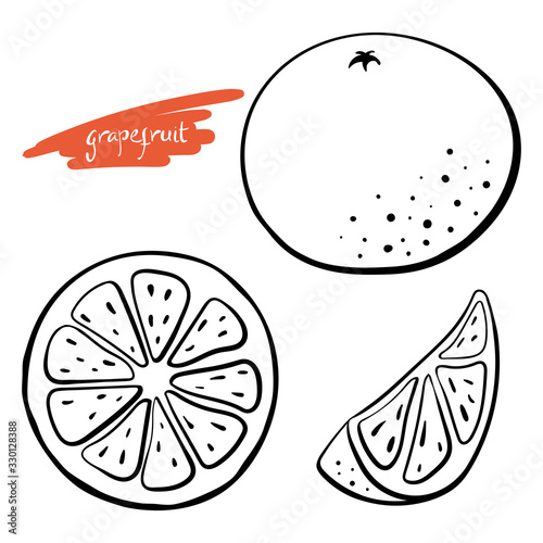 Grapefruit, whole, half and slice. Black line sketch collection of citrus fruits isolated on white background. Doodle hand drawn vegetables. Vector illustration