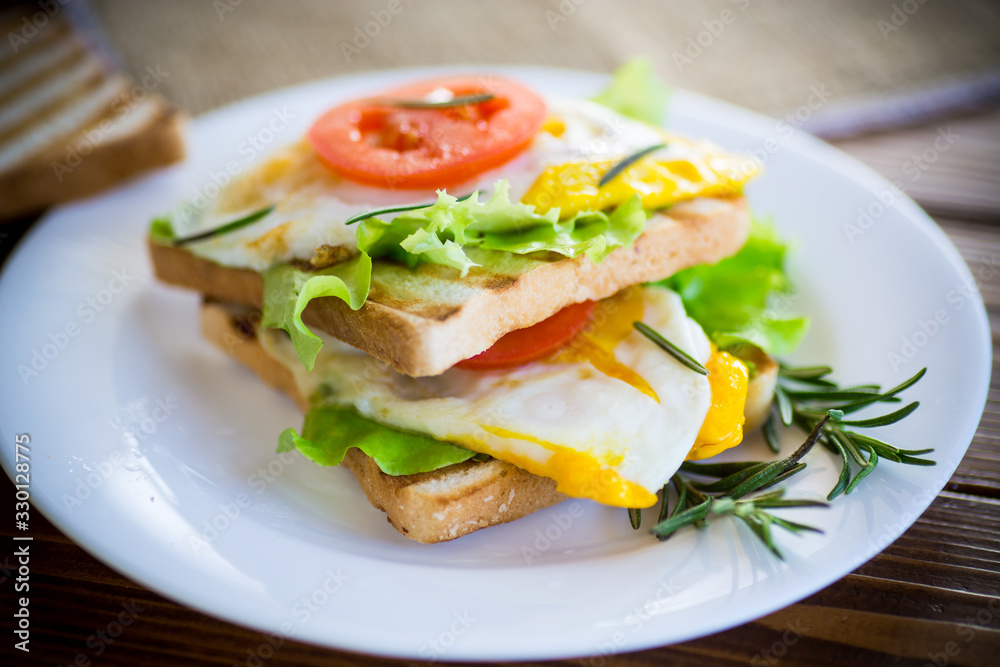 fried toasts with egg, salad, tomato in a plate fried toasts with egg, salad, tomato in a plate