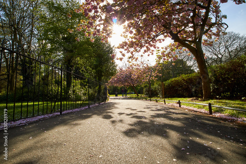 Canvas Print St Stephen's Green park, in Dublin, Ireland