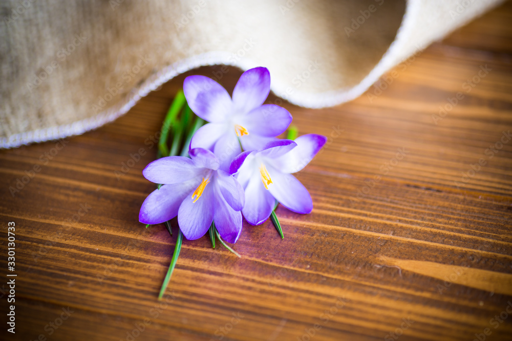 spring purple crocus flowers on a wooden table spring purple crocus flowers on a wooden table
