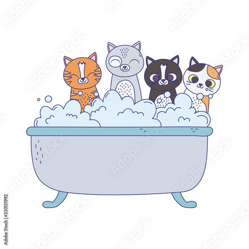 little cats in the bathtub grooming pet isolated on white background