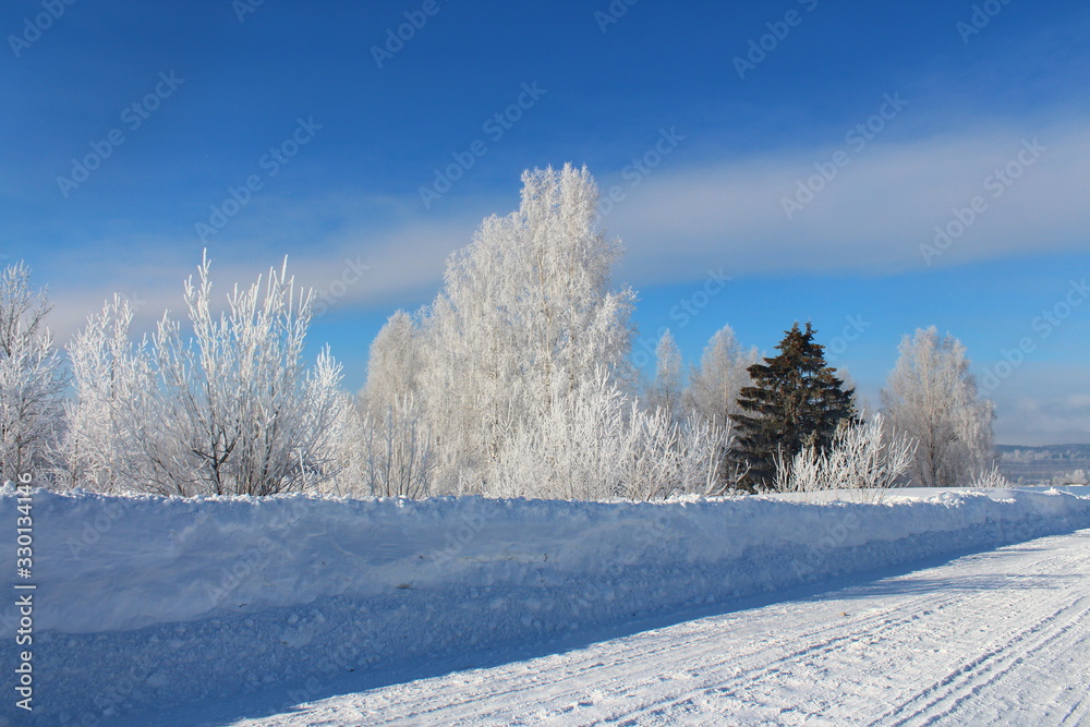 winter landscape with trees and blue sky winter landscape with trees and blue sky