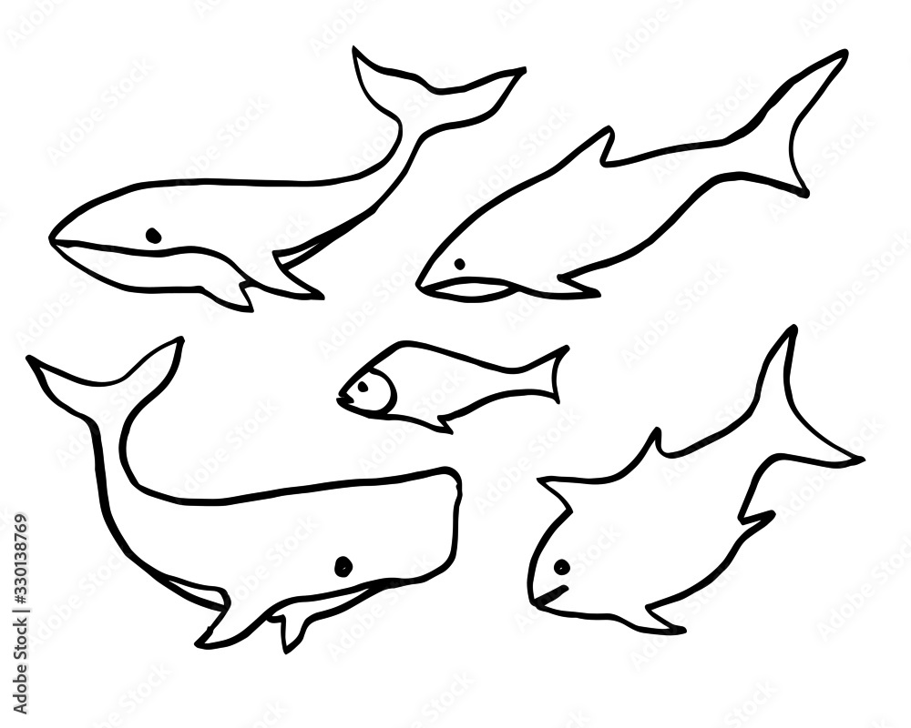 sea whale vector line set hand drawn sea whale vector line set hand drawn