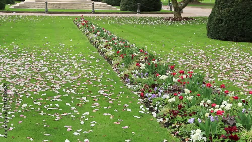 Rongées de fleurs multicolores sur la pelouse d'un parc public.