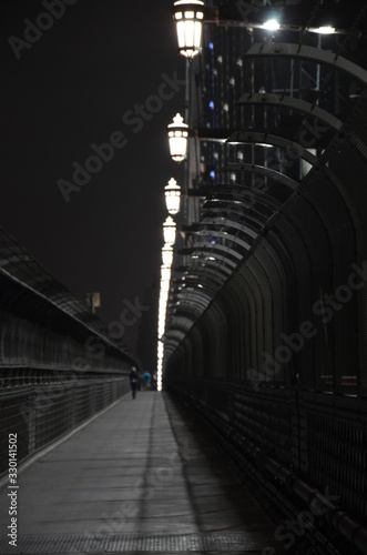 Harbour Bridges Sydney Australien