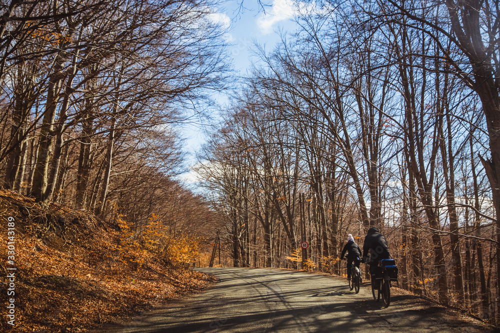 Asphalt road with two travelers on bikes through early spring, full of leaves on the ground and bare trees, autumn colors