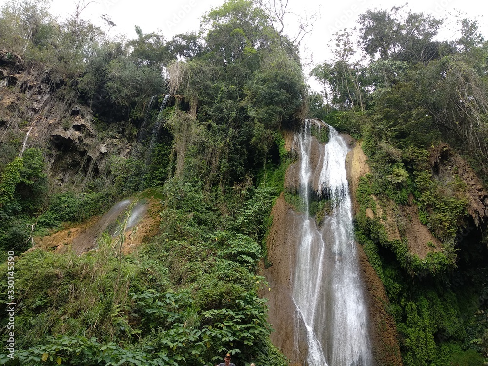 Obraz premium waterfall in forest