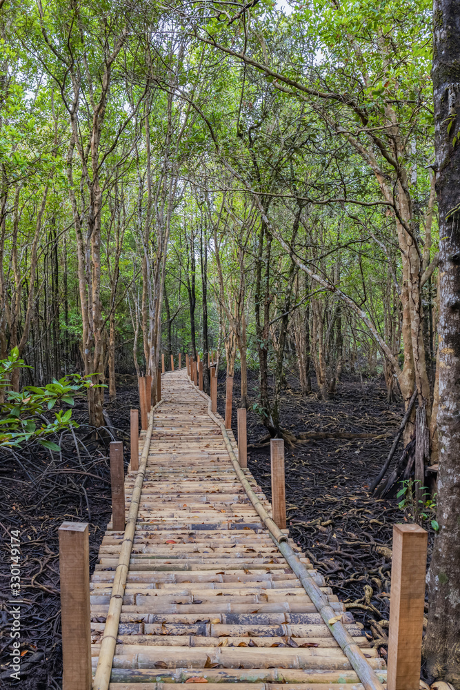Bamboo walkway bridge in the mangrove forest of Tha Ra Nae village, Trat, Thailand