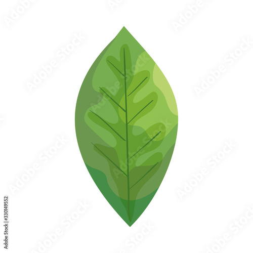 leaf nature ecology isolated icon vector illustration design