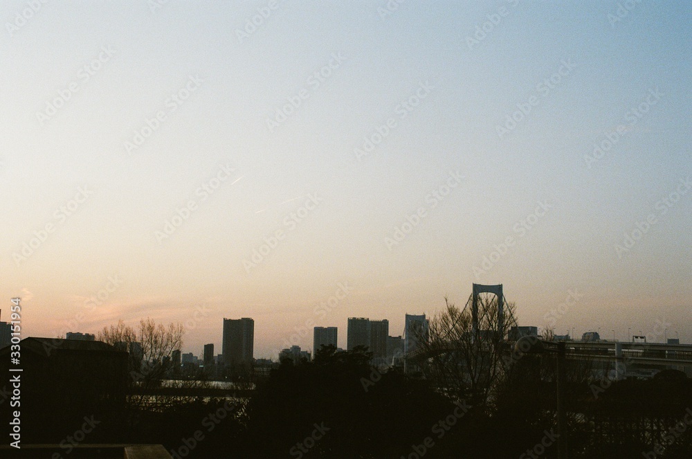 Tokyo Bay Skyline (Kodak Ultramax)