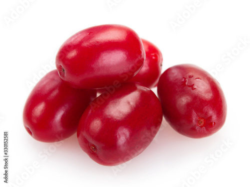 Fresh dogwood on white background