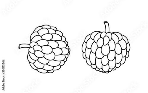 Custard apple outline. Isolated custard apple on white background