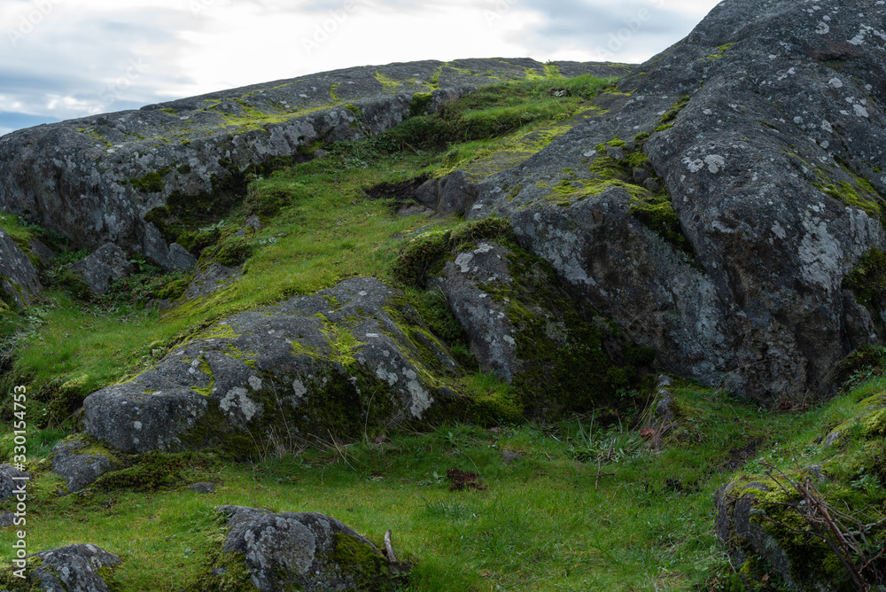 Close up of moss-covered boulders in Anacortes, Washington