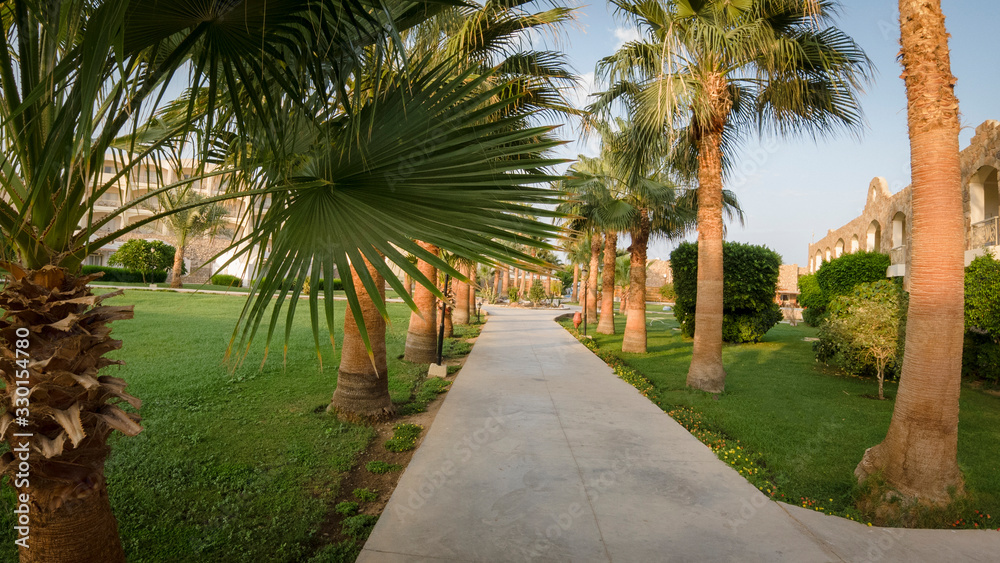Hotel path among palm trees at sunset time