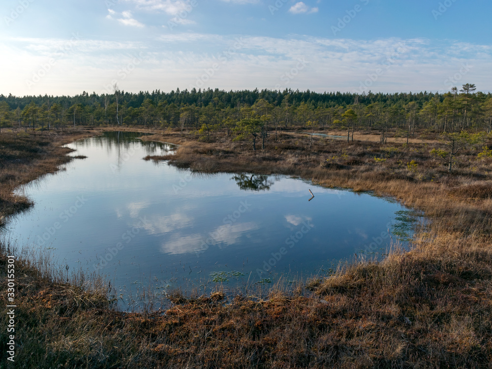 Still water with trees in the swamp land of Kemeri National Park in Latvia Still water with trees in the swamp land of Kemeri National Park in Latvia