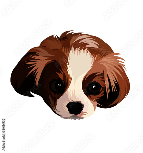 portrait of a dog isolated on white