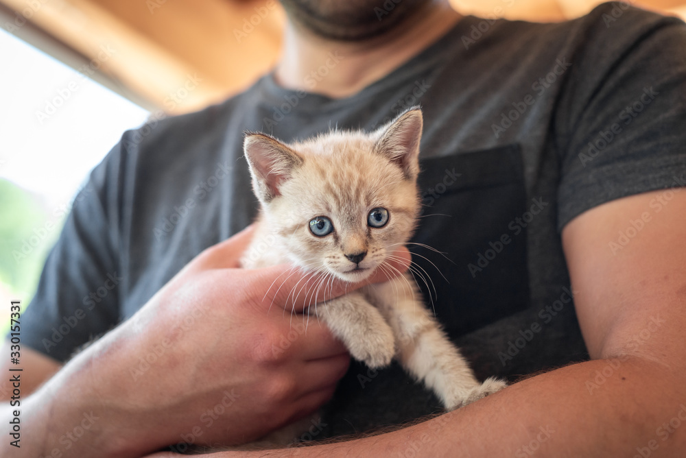 A young man holding a small, rescued feral kitten