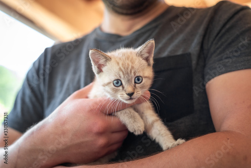 A young man holding a small, rescued feral kitten