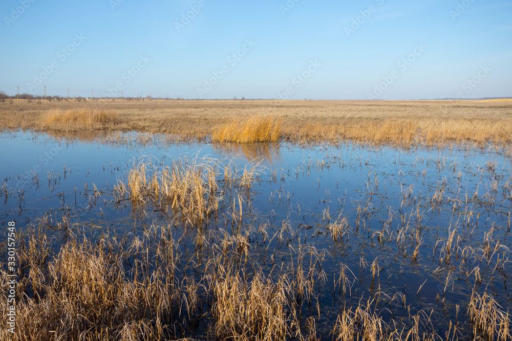 small blue lake among a dry prairie, spring flood scene small blue lake among a dry prairie, spring flood scene