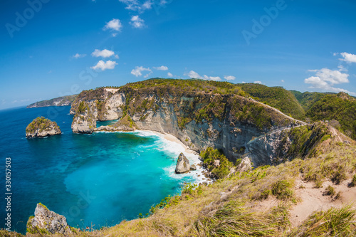 Diamond beach with palms and cliff in Nusa Penida