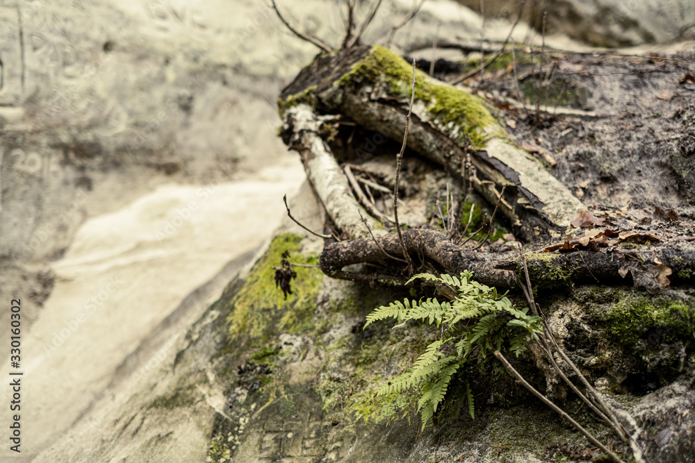 Obraz premium sandstone cliffs on the river shore