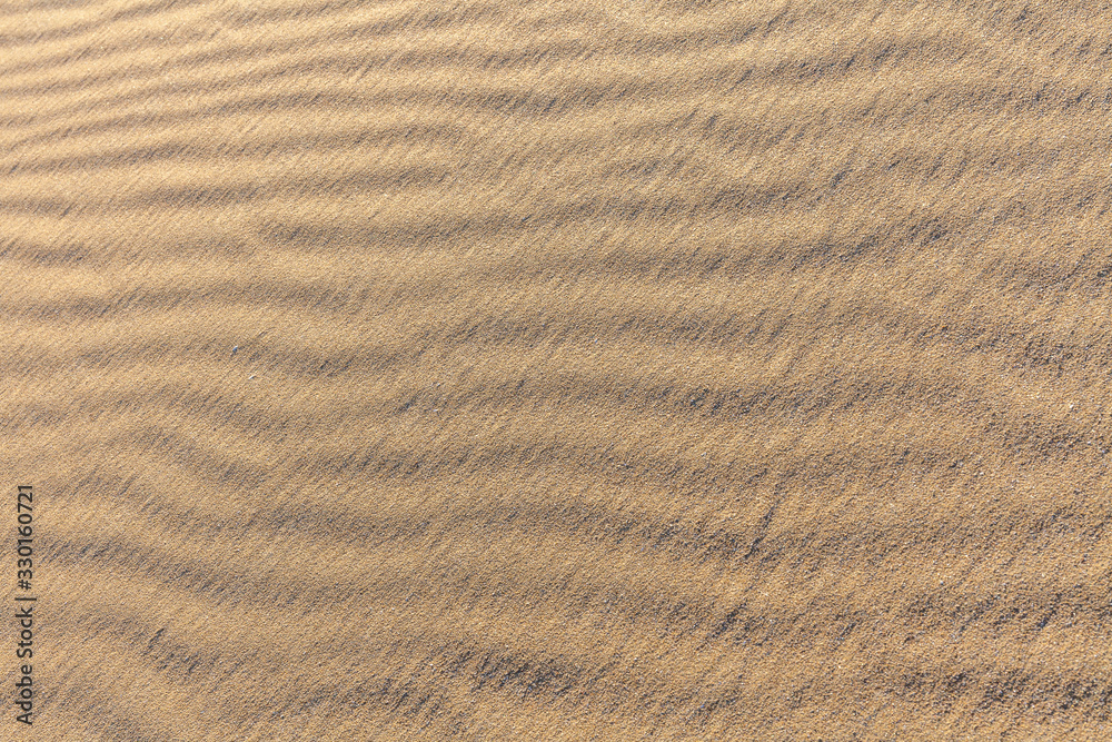 Sand Texture. Background from fine sand. Sand background. selective focus Sand Texture. Background from fine sand. Sand background. selective focus