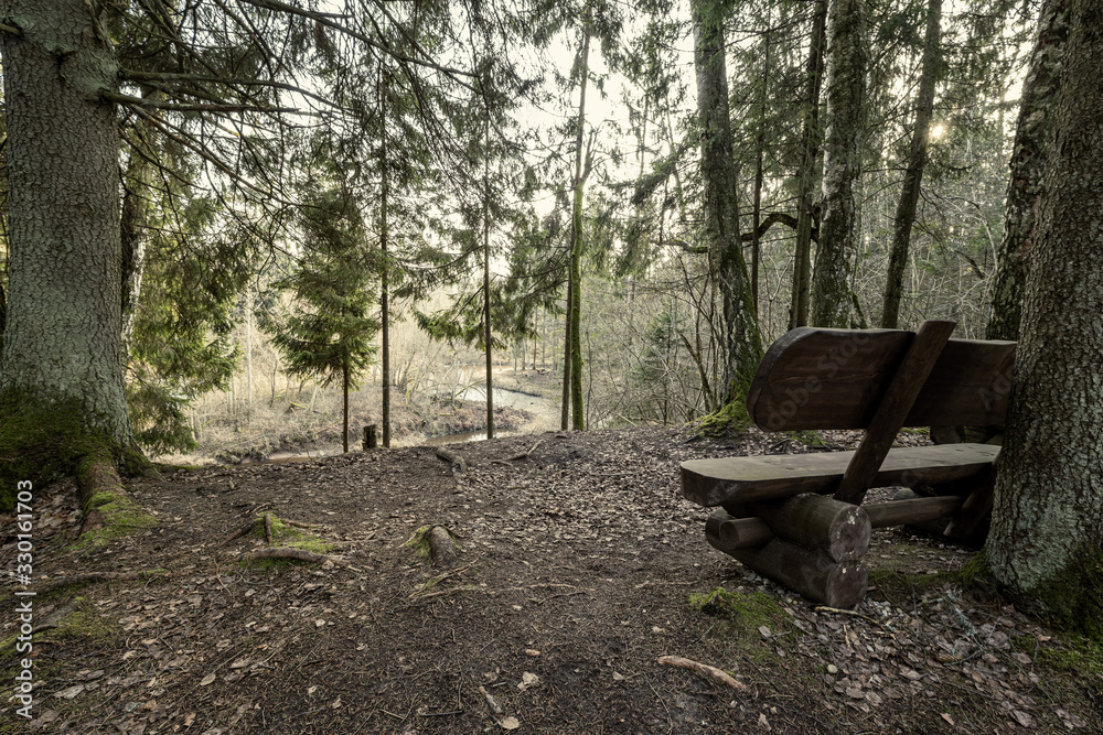 resting camping place in the woods with benches and trail in late autumn
