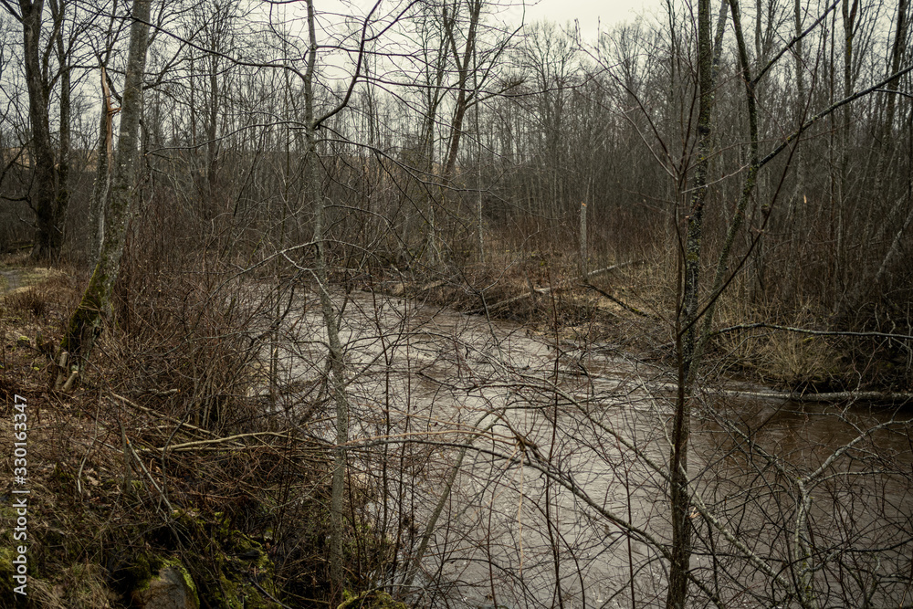 Scenic view of forest river Mergupe in Latvia in winter with no snow Scenic view of forest river Mergupe in Latvia in winter with no snow