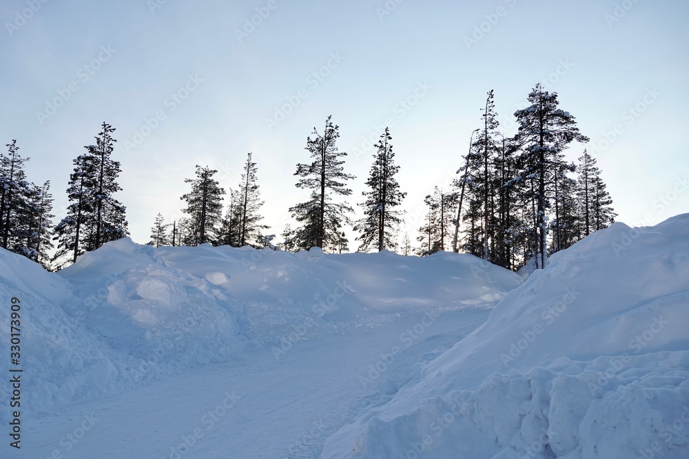 雪と木（フィンランド）