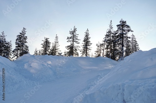 雪と木（フィンランド） © Photo by HARUKA