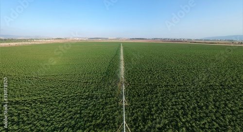 Center pivot irrigation and Circular agriculture  perfectly circular fields, as seen in this image.