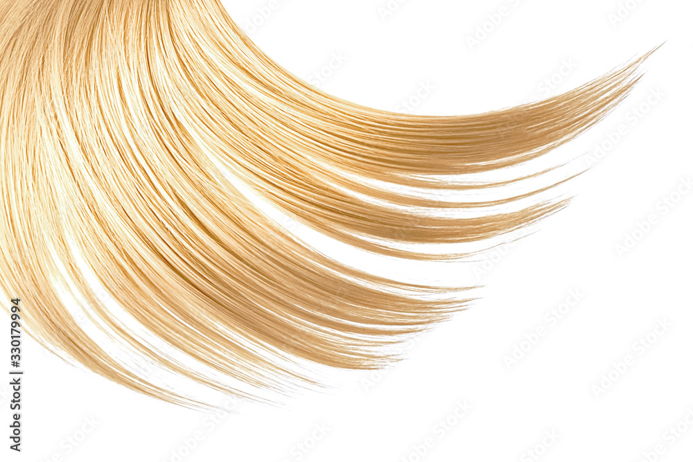 Blonde hair on white, isolated Blonde hair on white, isolated