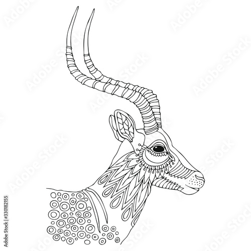 Hand drawn antelope. Sketch for anti-stress adult coloring book in zentangle style. Vector illustration for coloring page, isolated on white background. Template for poster, t-shirt, cover or tattoo.
