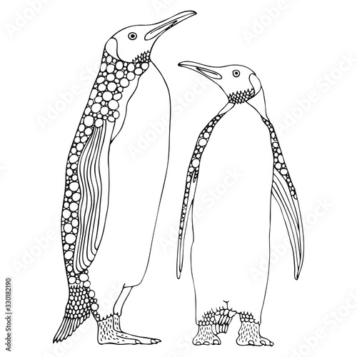 Two penguins. Hand drawn picture. Sketch for anti-stress adult coloring book in zen-tangle style. Vector illustration  for coloring page, isolated on white background.