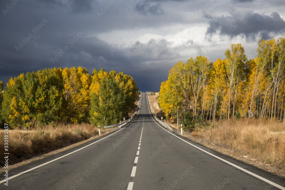 landscape of a deserted highway a stormy day, dark clouds and trees on the sides landscape of a deserted highway a stormy day, dark clouds and trees on the sides