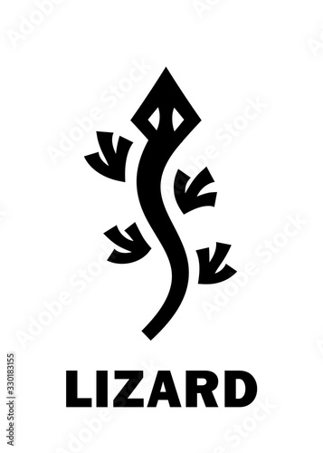 Astrology Alphabet: LIZARD (Lacerta) — Little modern Astronomical constellation (was created by Johannes Hevelius in 1687 and used in «Uranographia» since 1690). Hieroglyphic character sign (symbol). photo