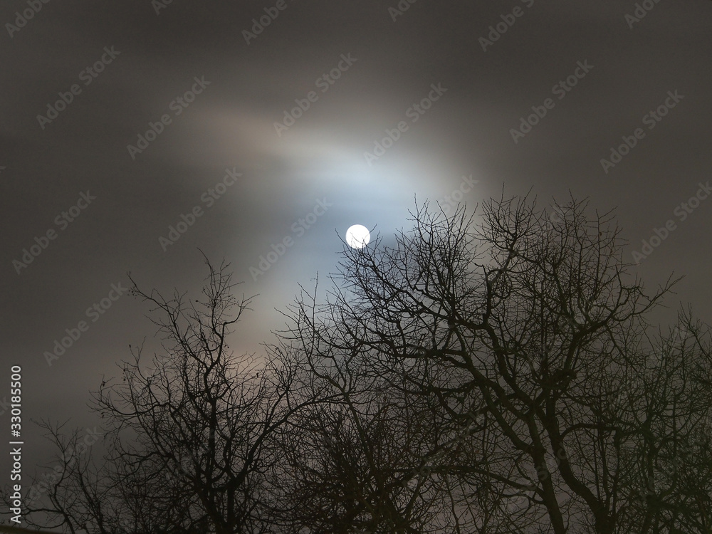 The moon in the gap between the clouds against the background of black, bare branches of trees. Mystical light, mysterious night.