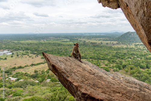 Beautiful destination with culture and temples. Sri Lanka photo