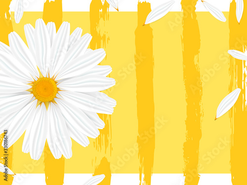 Template banner with realistic chamomile