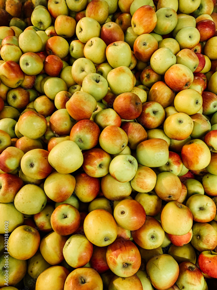 lots of ripe delicious sweet apples to eat like a background lots of ripe delicious sweet apples to eat like a background