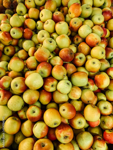 lots of ripe delicious sweet apples to eat like a background