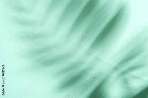 Decorative background with shadows from tropical palm plant on a pastel turquoise background.