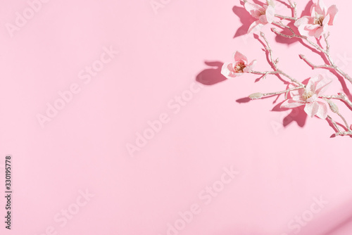 Greeting corner composition from branch of fresh orchid flower with hard shadows on a light pink background.