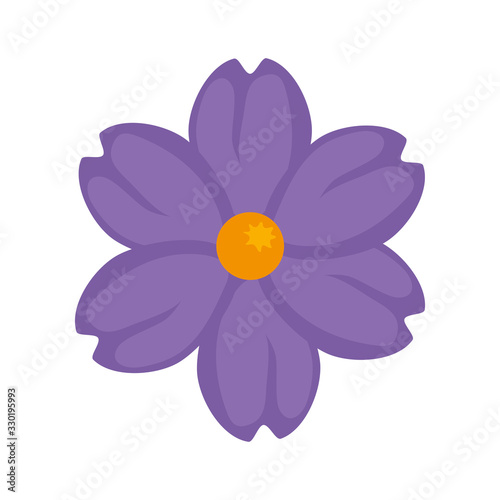 cute flower purple color isolated icon vector illustration design