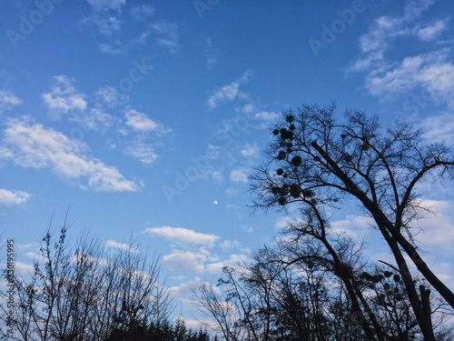 Blue sky with white clouds. Field