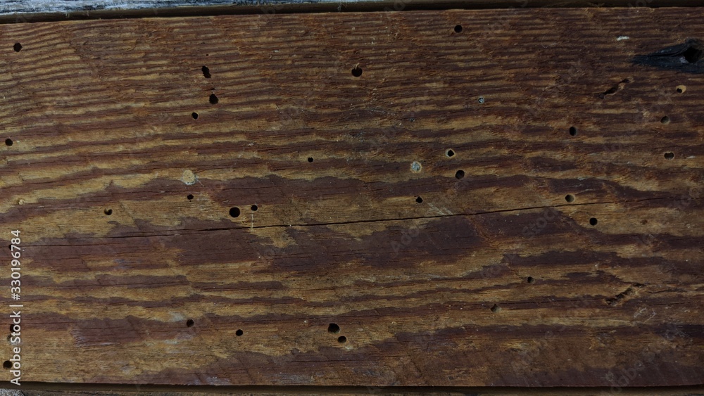 Wood textured backgrounds, wooden boards, textured boards Wood textured backgrounds, wooden boards, textured boards