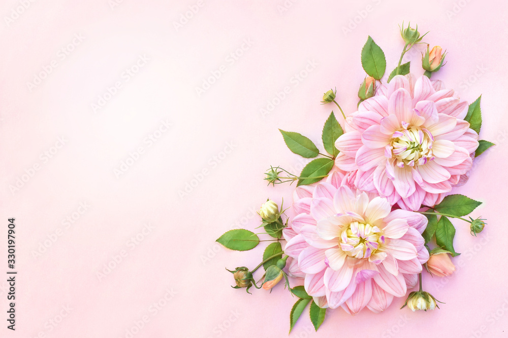 Soft pink delicate blossoming dahlias, summer blooming flowers festive background, pastel bouquet floral card, toned	