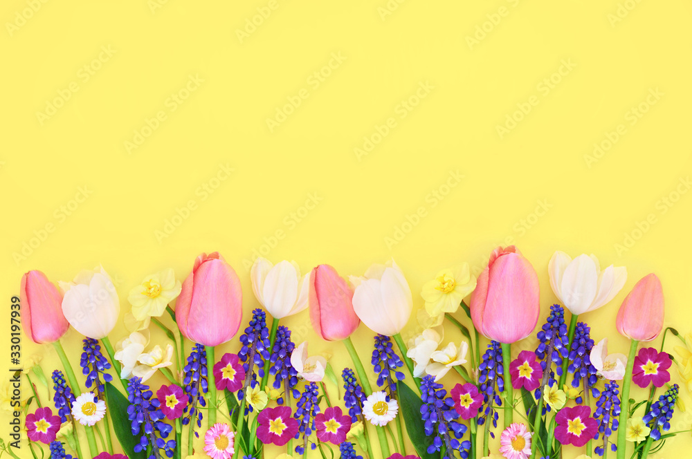 Spring blossoming flowers and tulips bright background, bright springtime festive floral card